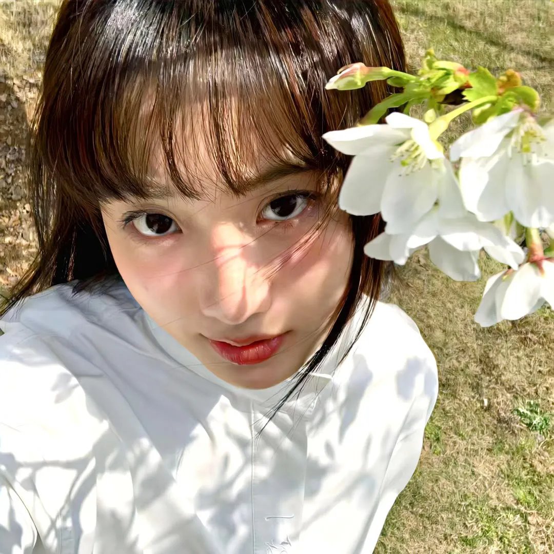 花水木
